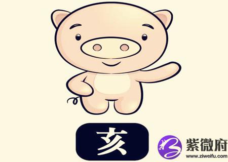 属猪的取名带什么字好