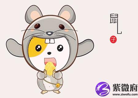 生肖属鼠最倒霉的年龄