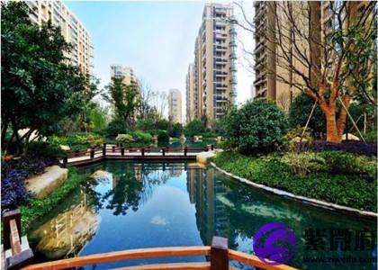 属鼠人的住宅风水