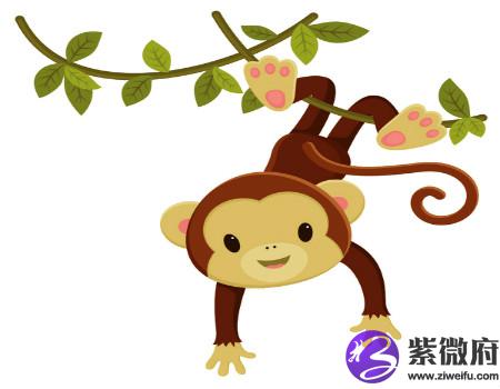 什么生肖最旺猴