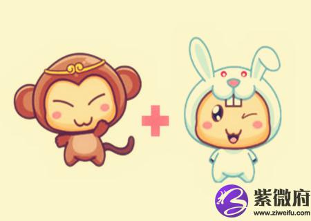 猴和兔的属相合不合