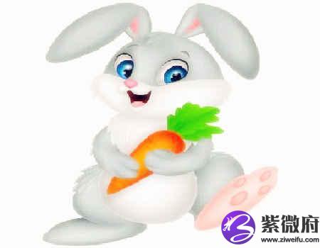 什么生肖最旺兔