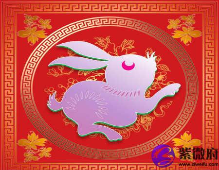 兔和猴的属相合不合