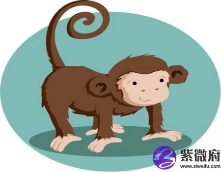 属猴和什么属相不合