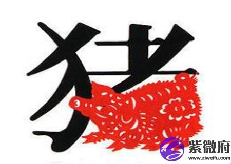 生肖属猪男最怕几月出生