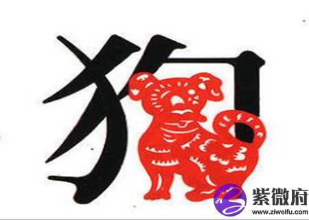 生肖属狗男最怕几月出生