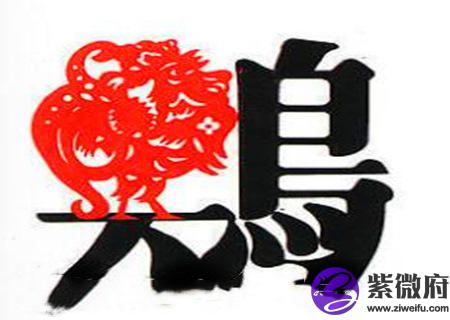 生肖属鸡男最怕几月出生