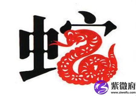 生肖属蛇男最怕几月出生