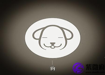 属狗的人出生月的命运
