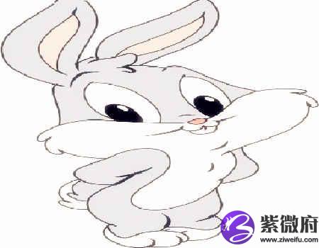 兔和牛的属相合不合