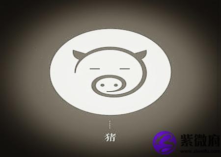 属猪的人出生月的命运