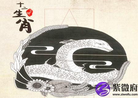 蛇和鸡的属相合不合