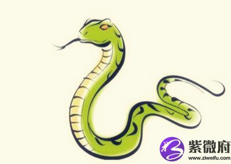 蛇和马的属相合不合