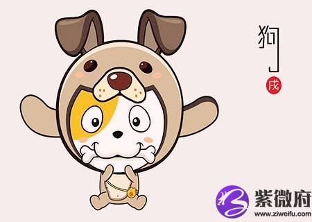 生肖属狗最倒霉的年龄
