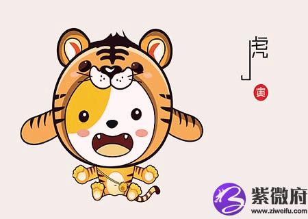 生肖属虎最倒霉的年龄