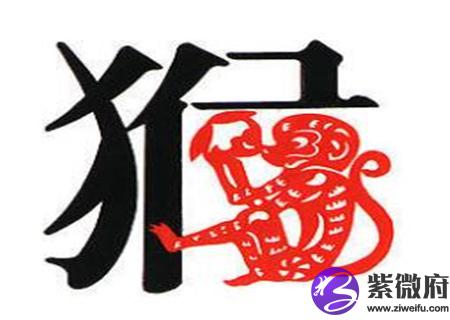 生肖属猴男最怕几月出生
