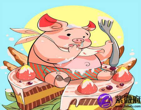 属猪人一生财运如何