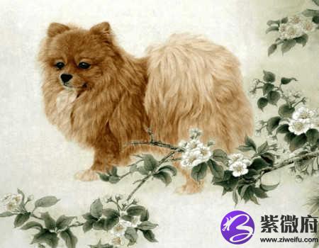 属狗人一生财运如何