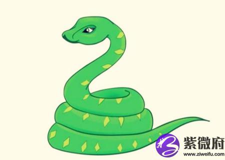蛇和羊的属相合不合