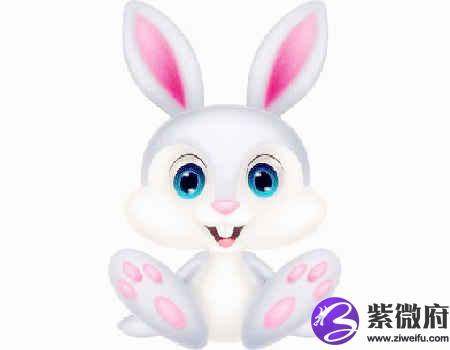 兔和马的属相合不合