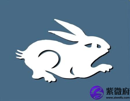 兔和鼠的属相合不合