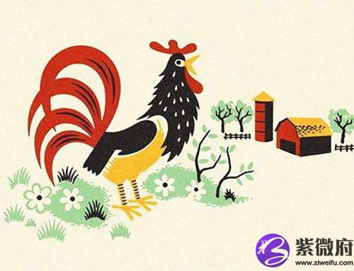 属鸡的人住宅风水