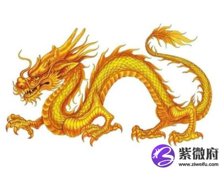 龙和马的属相合不合