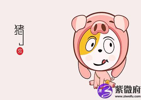 生肖属猪最倒霉的年龄
