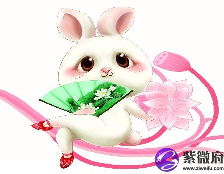 兔和龙的属相合不合