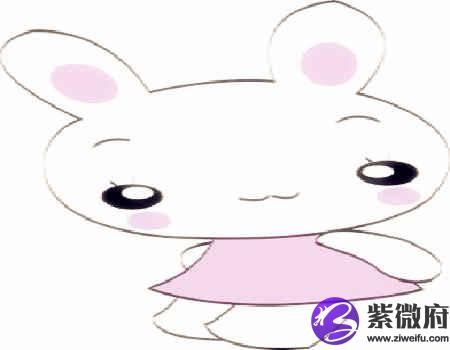 兔和虎的属相合不合