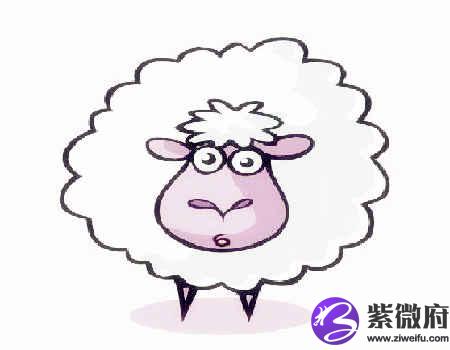 属羊人一生财运如何