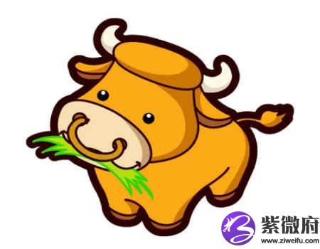 属牛人一生财运如何
