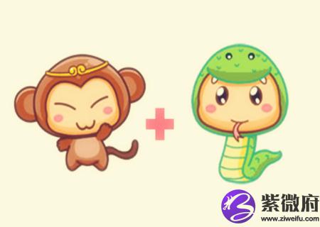 猴和蛇的属相合不合