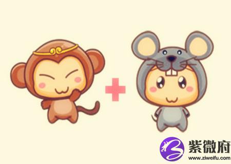猴和鼠的属相合不合