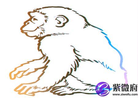 属猴人2020年健康运如何