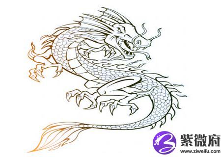 属龙人2020年健康运如何