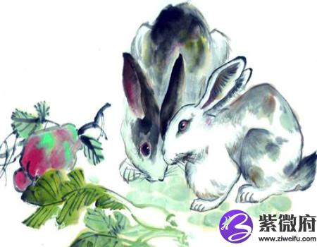 属兔人一生财运如何