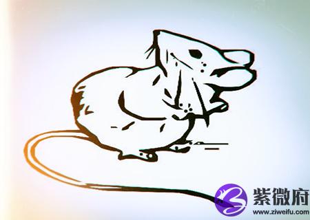 属鼠人2020年健康运如何