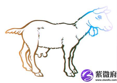 属羊人2020年健康运如何