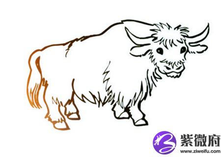属牛人2020年健康运如何
