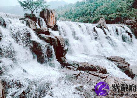 属水的生肖有哪些