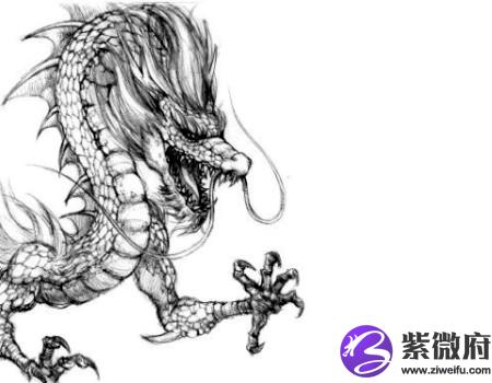 龙和蛇的属相合不合