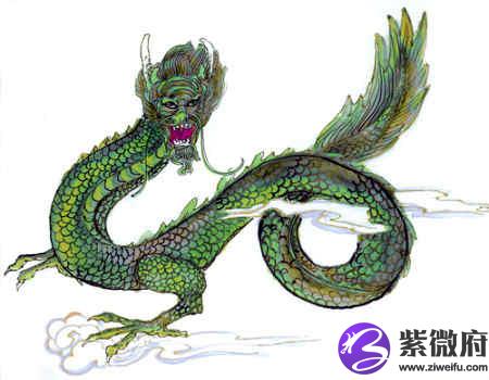 龙和虎的属相合不合