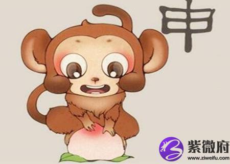 猴和猴的属相合不合