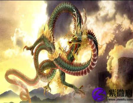 龙和龙的属相合不合