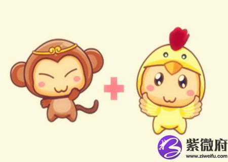 猴和鸡的属相合不合