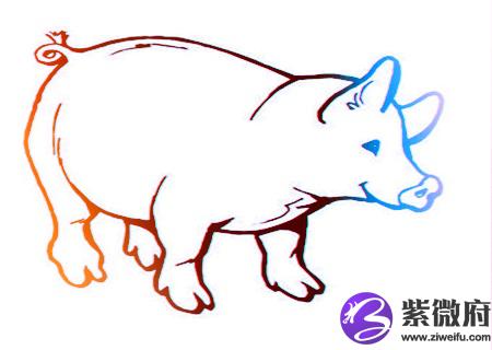 属猪人2020年健康运如何