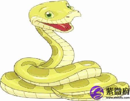生肖属蛇女最怕几月出生
