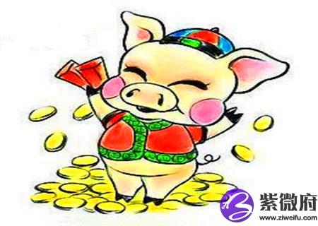 十二生肖猪和什么相配