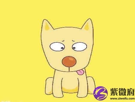 狗和马的属相合不合
